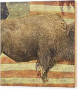 American Buffalo Wood Print