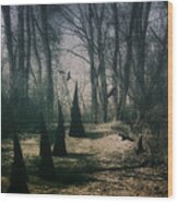 American Horror Story - Coven Wood Print