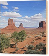 American Landscape - Monument Valley Wood Print