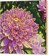 Amiable Aster Wood Print
