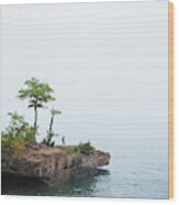 An Adult Woman Hiker Explores A Small Wood Print