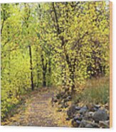 An Autumn Stroll Wood Print