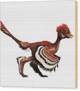 Anchiornis Feathered Dinosaur, Artwork Wood Print