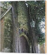 Ancient Yews Guard The Door Wood Print