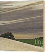 Andalusian Farmland Series-1 Wood Print