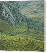 Andean Montain Range Wood Print