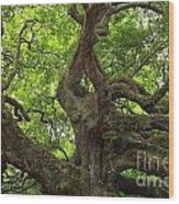 Angel Oak Branches Wood Print