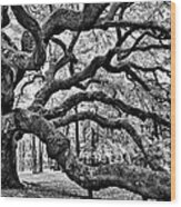 Angel Oak Tree Ir Hdr Wood Print