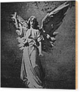Angel Of Death Bw Wood Print