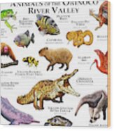 Animals Of The Orinoco River Valley Wood Print