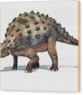 Ankylosaur Dinosaur, Artwork Wood Print