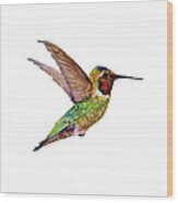 Anna Hummingbird Wood Print