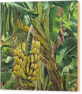 Annie's Bananas Wood Print