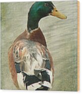 Another Duck ... Wood Print