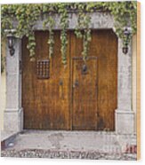 Antigua Doors Wood Print