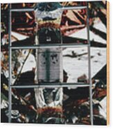 Apollo 11 Moon Plaque Wood Print