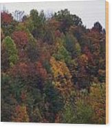 Appalachian Mountain Fall Wood Print