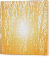 April Sunrise Wood Print