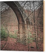 Aqueduct In Montseny Wood Print