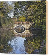 Arboretum Drive Bridge - Madison - Wisconsin Wood Print