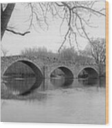 Arch Bridge Wood Print