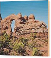 Arches Np Wood Print