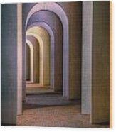 Arches Of The Ferguson Center Wood Print