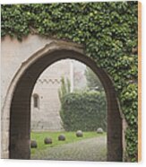 Archway Bebenhausen Abbey Wood Print