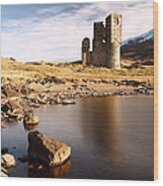 Ardvreck Castle Wood Print