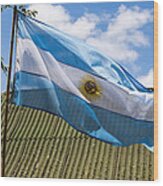 Argentina Flag Wood Print