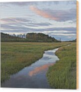 Argilla Road Marsh And Fox Creek Wood Print