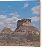 Arizona Desert And Mesa Wood Print