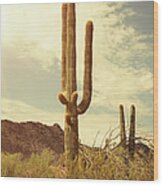 Arizona Saguaro National Park Cactus Wood Print