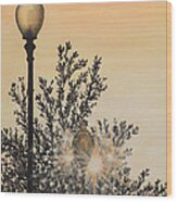 Arlington Sun Lights Wood Print