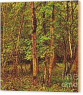 Ash Trees Wood Print