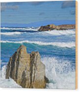 Asilomar Rollers - Asilomar State Beach Wood Print