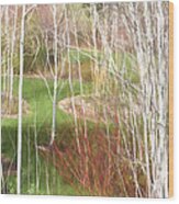 Aspen Grove - Green Grass Wood Print