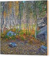 Aspen Grove Wood Print
