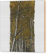 Aspen Vertical Panorama Wood Print