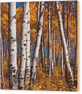 Aspens Wood Print