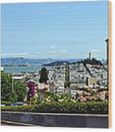 At The Top - Lombard Street Wood Print