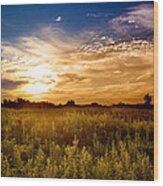 August Sunset In The Meadow Wood Print