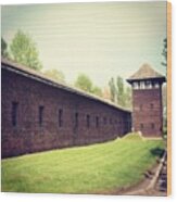 Auschwitz- Birkenau Trip

@thegayuk Wood Print