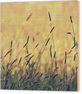 Austria, Close Up Of Summer Grass Wood Print
