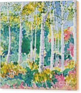 Autumn Aspens Wood Print