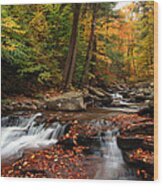 Autumn At Ricketts Glen Wood Print