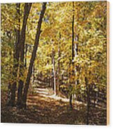 Autumn At Three Creeks Wood Print