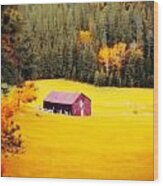 Fall On A South Dakota Meadow Wood Print