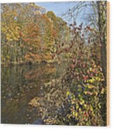 Autumn Colors On The Canal Wood Print