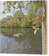 Autumn Colors On The Delaware And Raritan Canal Wood Print